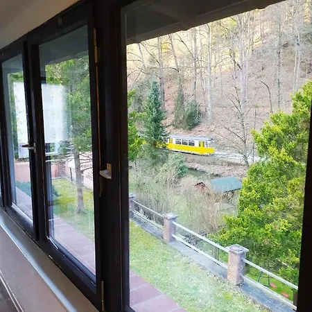 Elbenland Apartments & Bungalows Bad Schandau Buitenkant foto