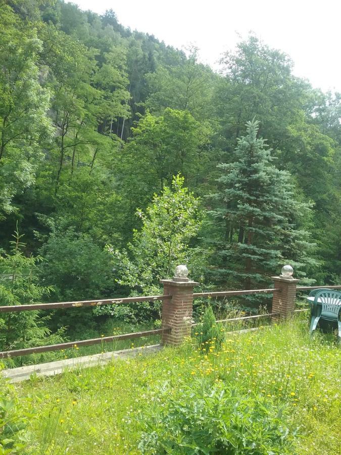 Elbenland & Holiday home Bad Schandau