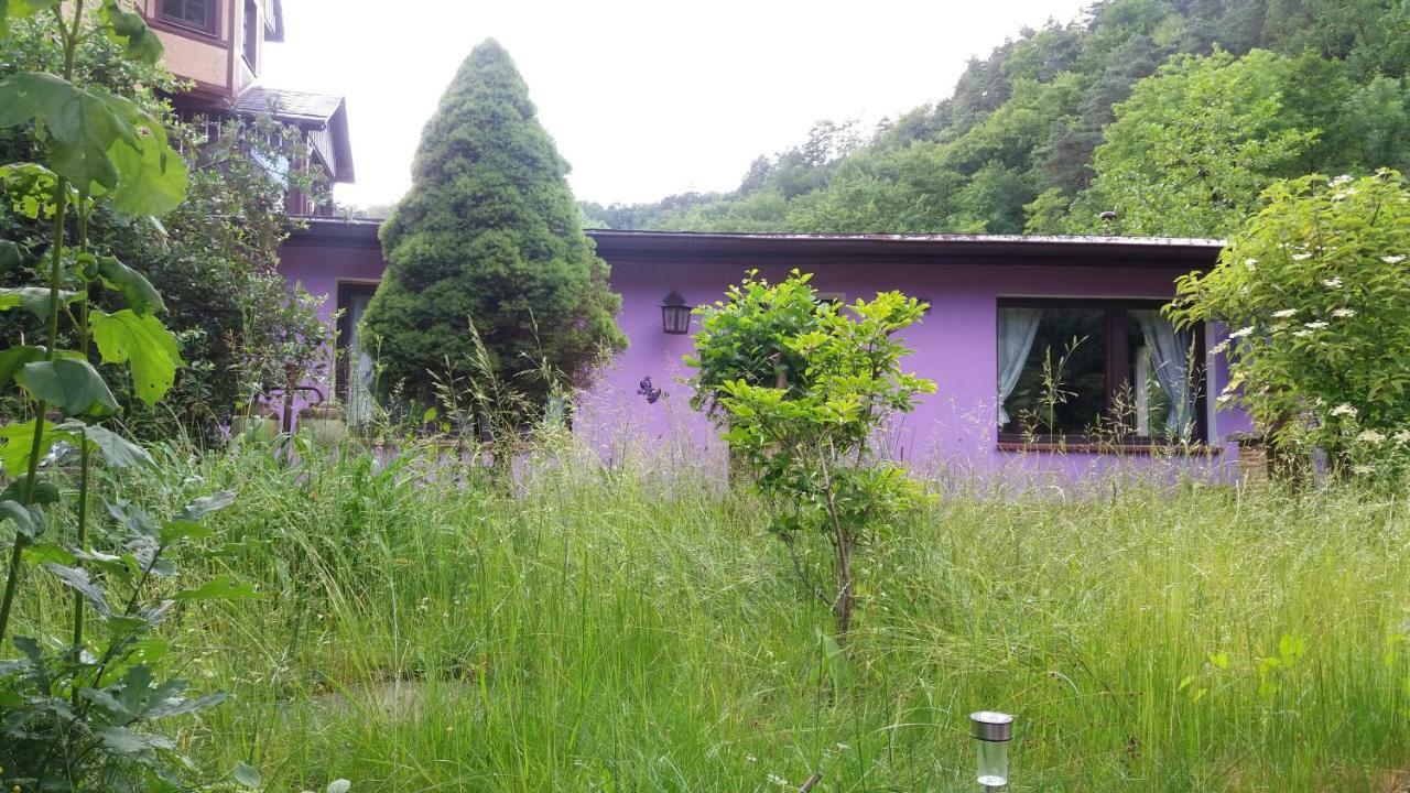 Elbenland & Bad Schandau